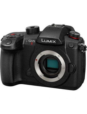 Panasonic Lumix GH5 II...